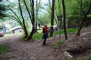 Monte Zucco (Direttissima / Sentiero Panoramico) da San Pellegrino Terme il 22 aprile 2016  - FOTOGALLERY